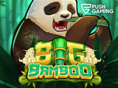 Online bingo casino73